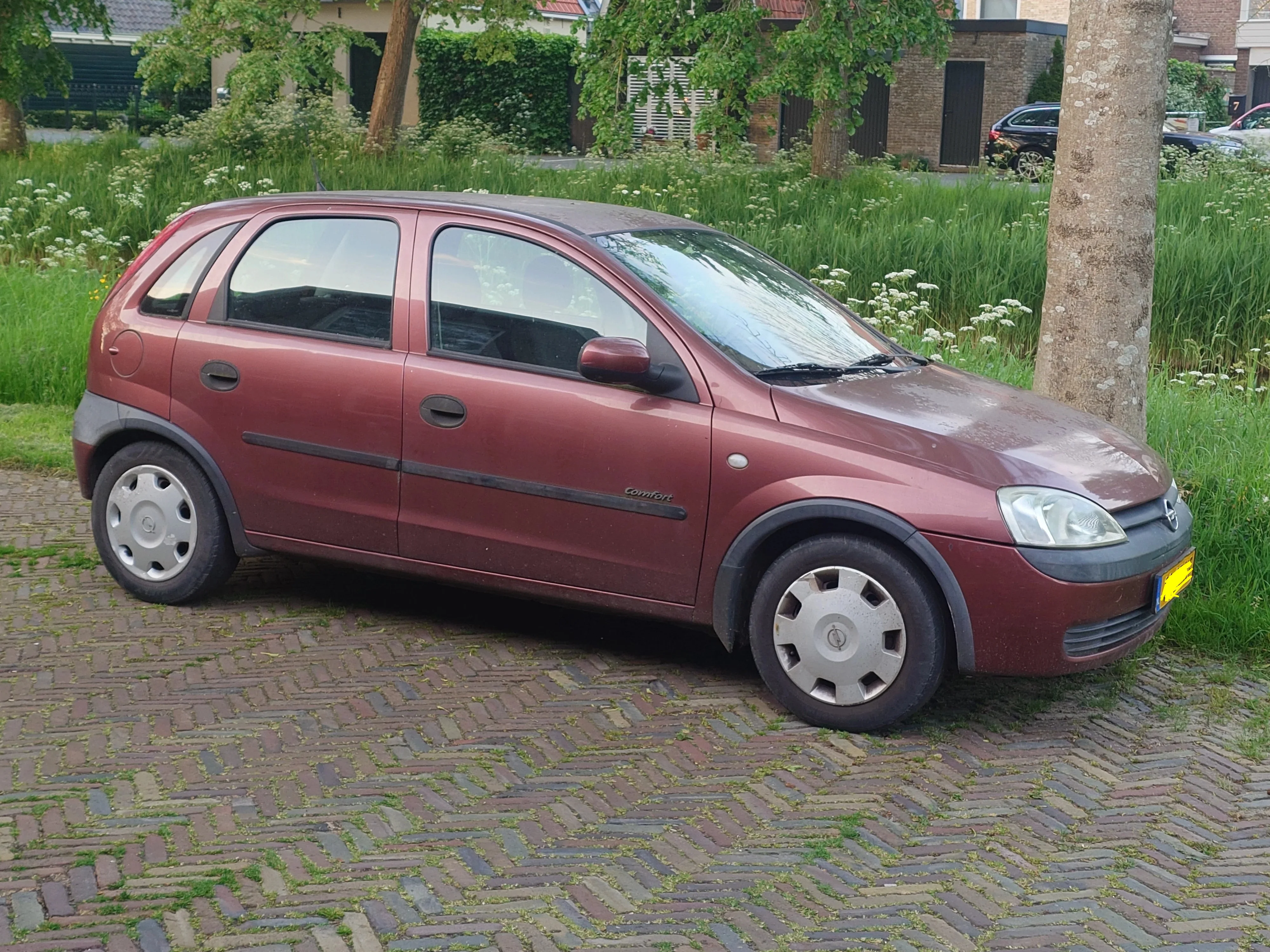 1000060806.webp