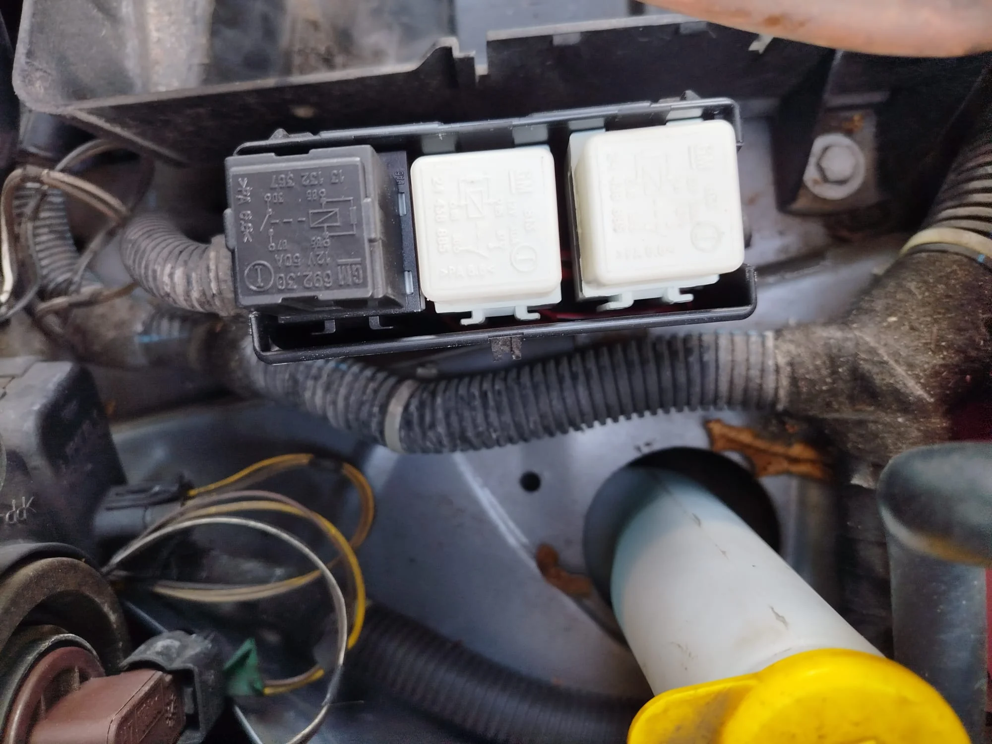 WhatsApp Image 2026-04-03 at 16.29.52.webp