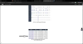 navi opel.webp